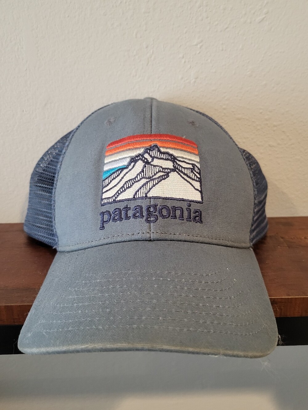 Patagonia Light Blue Trucker Cap with Multicolor Mountain Patch